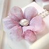 Flora Box Wedding Bomboniere - pink